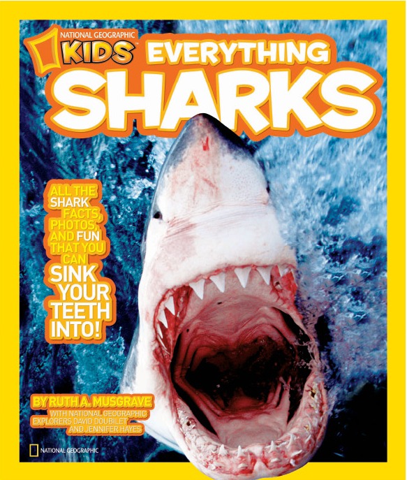 NGK Everything Sharks cover